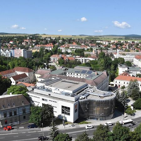Panorama View Family Apartment Veszprém Exteriör bild