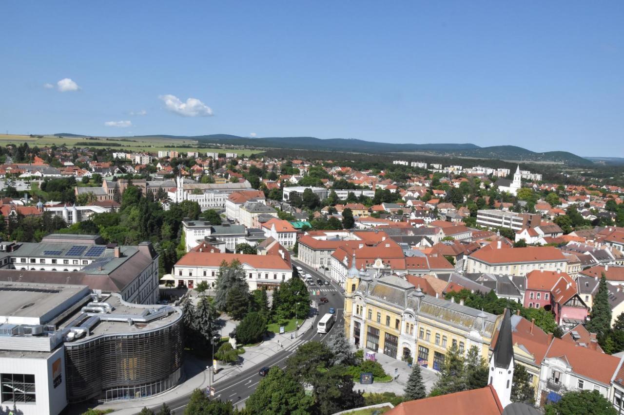 Panorama View Family Apartment Veszprém Exteriör bild